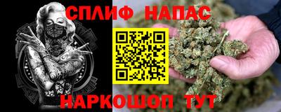 гидра Краснокаменск