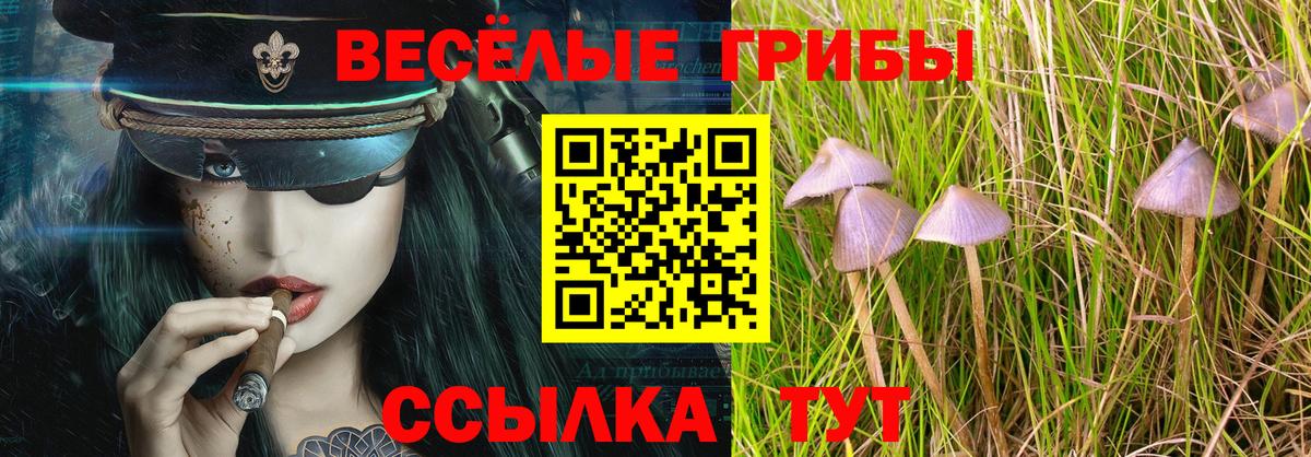 Вольск  Псилоцибиновые грибы прущие грибы  Вход с VPN 
